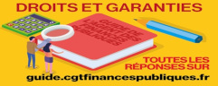 GUIDE DE L’AGENT DES FINANCES PUBLIQUES